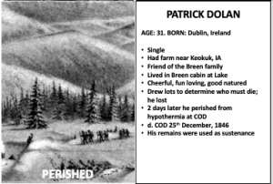 Read more about the article Patrick Dolan